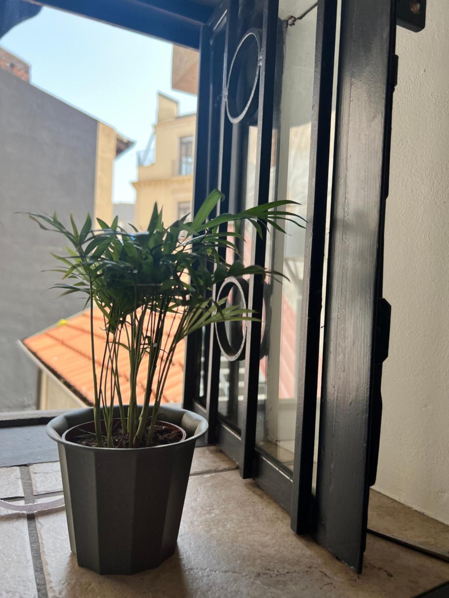Barcaioli'S Home CTA Exterior foto